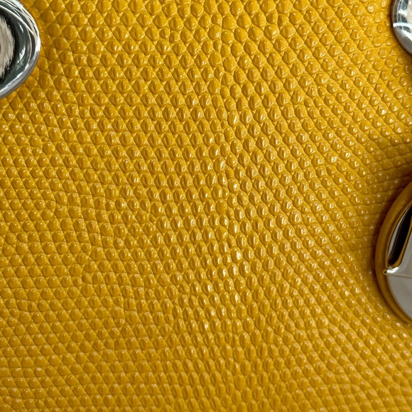 Christian Dior exotic lizard skin Lady Dior handbag. New color never used, boxed - Picture 8 of 16